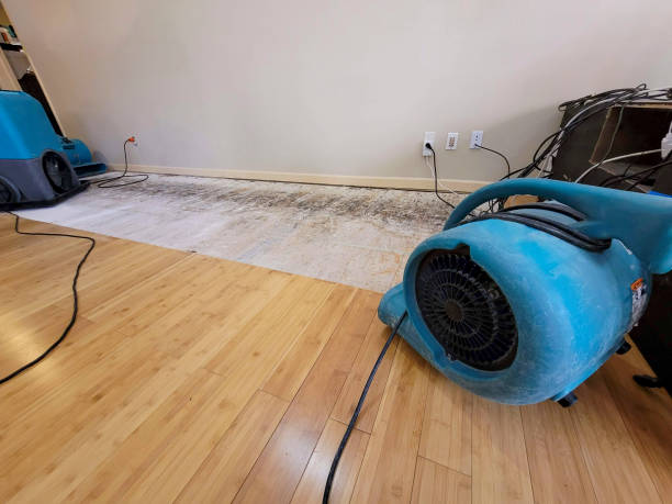 Professional Basement Flood Cleanup technician working in Beverly, NJ